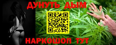 крисы Новозыбков