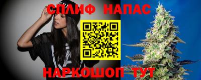 крисы Новозыбков