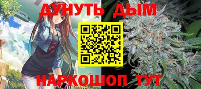 крисы Новозыбков