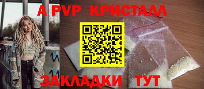 крисы Новозыбков