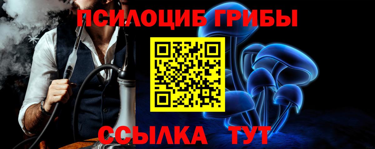 Галлюциногенные грибы ЛСД  Вход с VPN  Тавда 